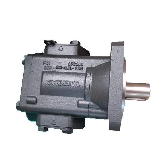德國rickmeier 齒輪泵 R65/250 FL-Z-W-SAE3-R